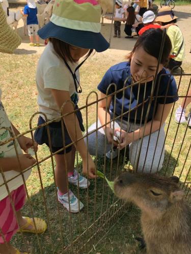 移動動物園